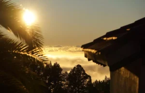 Rent a vacation home La Palma privately on the vineyard above the clouds of La Palma