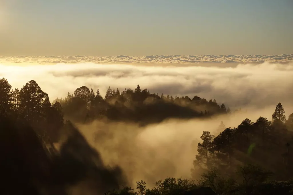 La Palma Urlaub: Relaxen auf dem Weingut ueber den Wolken von La Palma