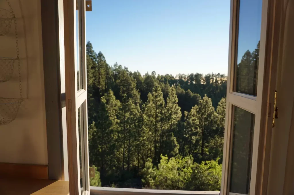 Tiny House Vogelnest La Palma: Ausblick durchs Fenster in den umliegenden Pinienwald.